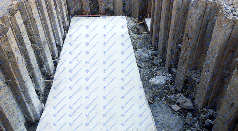 金山區(qū)第二社會福利院新建項目