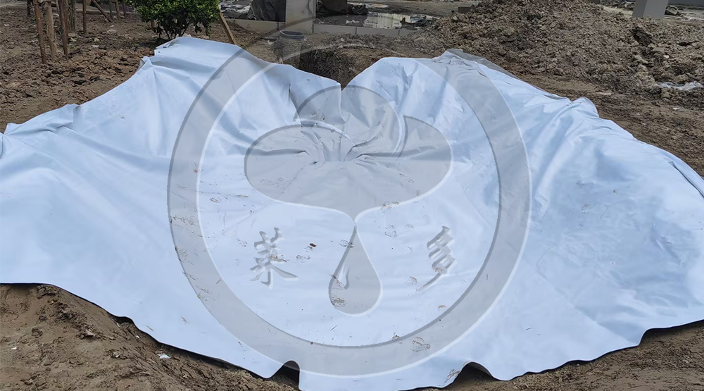 泥城社區DE06-G-1地塊配套中學海綿城市、雨水回收